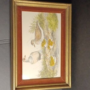 Vintage picture of Birds